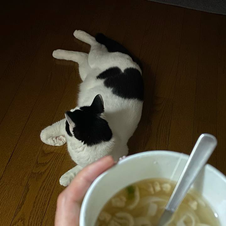 6748b47d 2421 4187 8306 1e7eabd42bd9 1626019328435