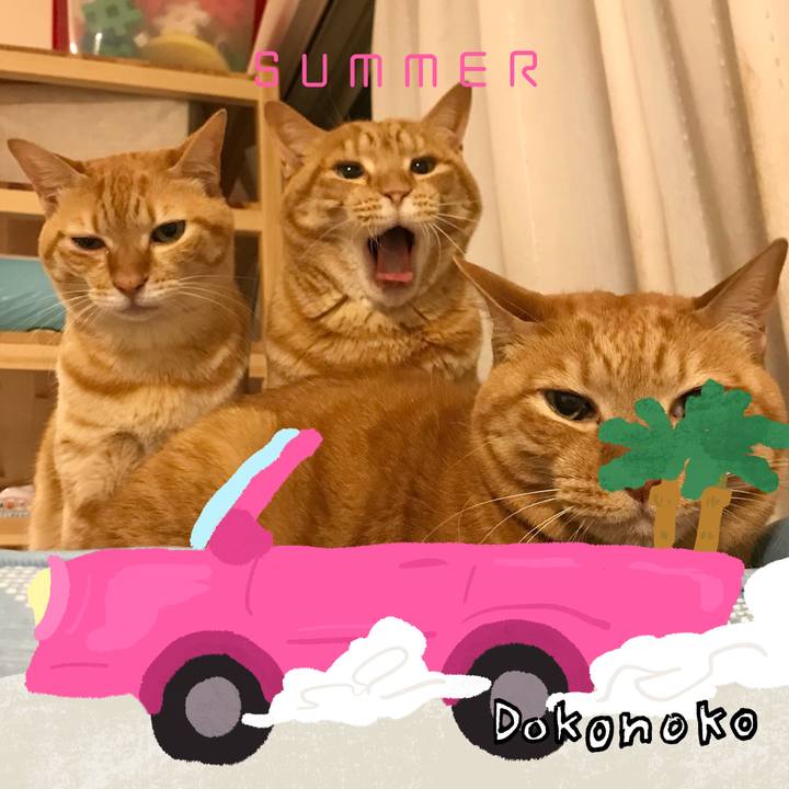 6748b869 9c24 4948 a833 63421fe1fbd2 1783333783480
