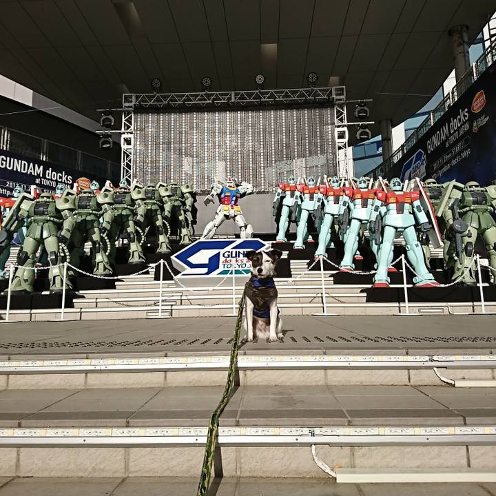 6748c438 2b6a 47d4 885e 5dfc5329e16b 1514377292213