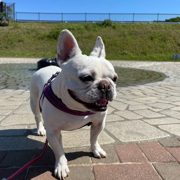 6748ebea 6524 45b6 a240 db9dfb77bebc 1746232793366