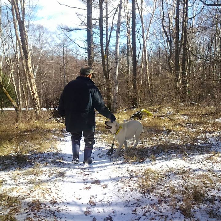 6748ec8a cf87 4921 979e 4f145504937c 1511581268928