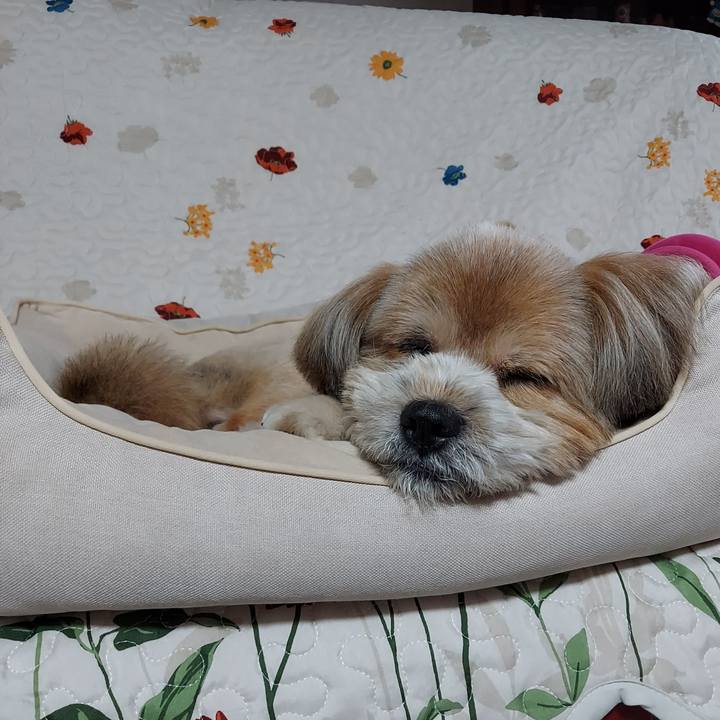 6748ee5e 193f 4169 990d e268b88213cb 1660728471093