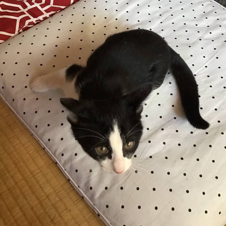 67493ffe 8efd 4f14 a5ff 6d88baf1d7f5 1626571548389