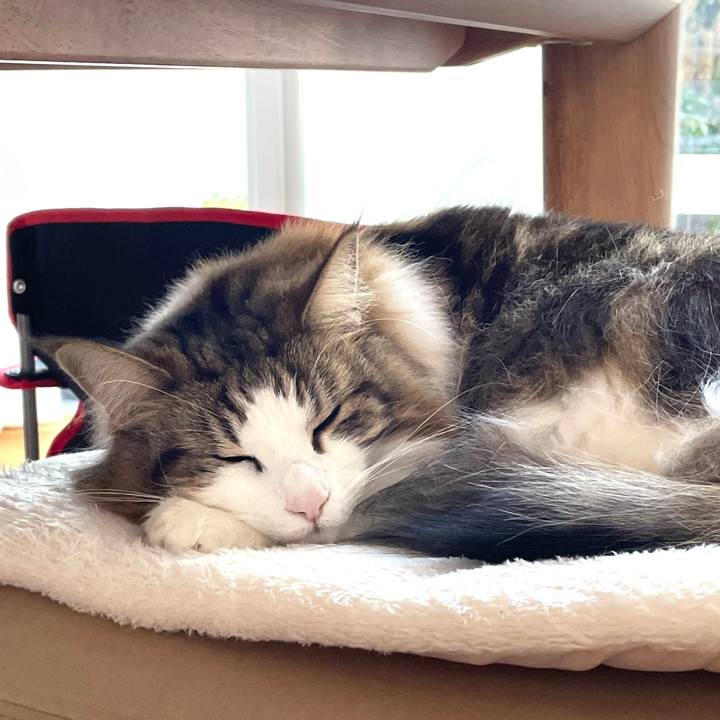 67495e00 f149 448d 8e01 a8d4dd0db0a7 1644969719303