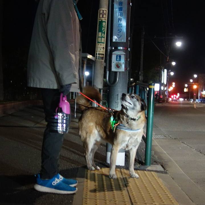 674974f7 9eb2 40b7 b147 e501a998103a 1553434553043