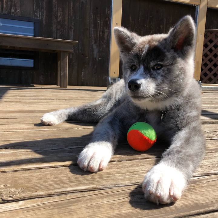 67497941 5f6a 444a 9b13 49e49b655ec7 1556923860402