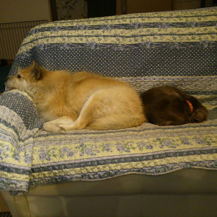 67499289 b531 461e baf6 d0bbd651bc75 1513154906824