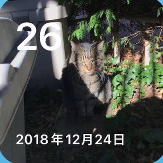 6749c56e ce8e 4146 a14e 634a6d0bac19 1766725011066