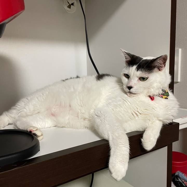 6749d2f8 0522 4eb0 874f f77d66422c6f 1629643571917