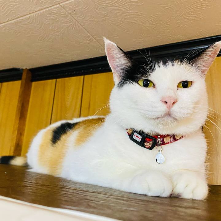 674a8671 cdb2 4ba9 98b2 76607213be7a 1660826877997