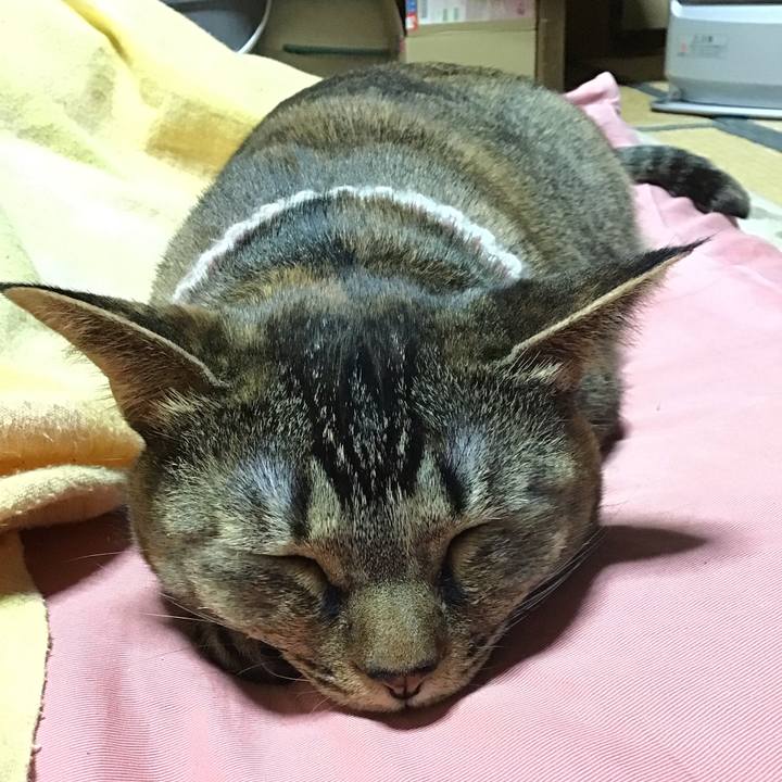 674ad40e fd92 4940 b336 730886c11996 1675082898906