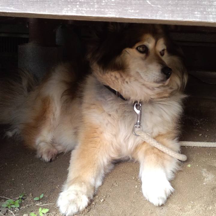 674ae464 963f 4b48 b088 73dc7fff85c5 1627425451062