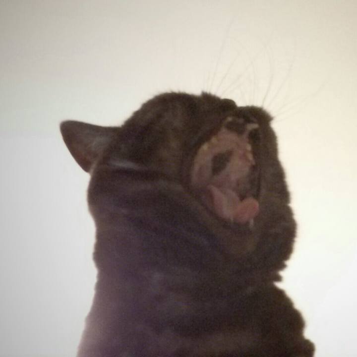 674ae5df 34ce 463b 831f 791de6e94a1b 1566908293323