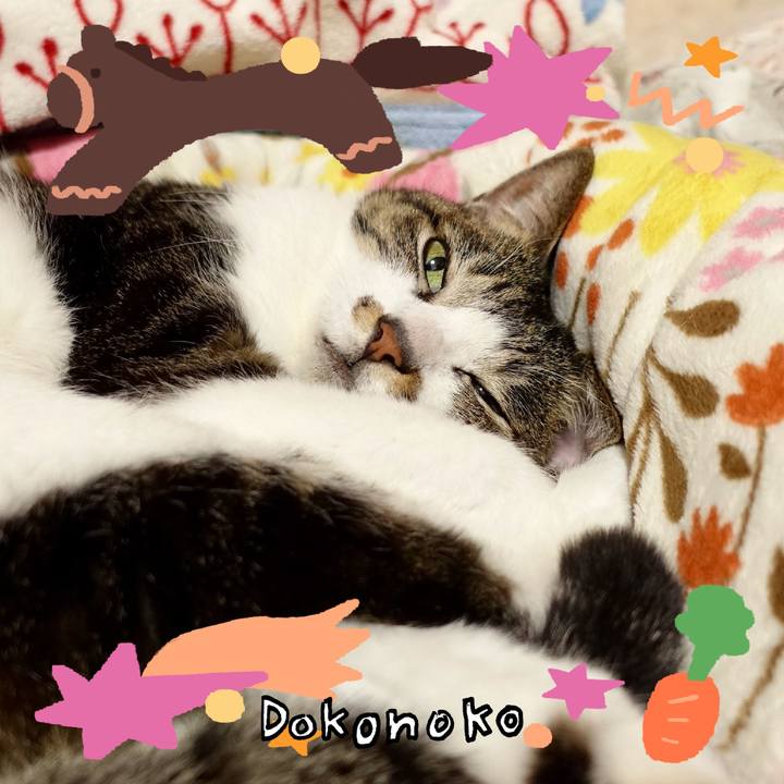 674afc91 eb4d 4a2b ba22 1fc55e5b7c61 1772279400705