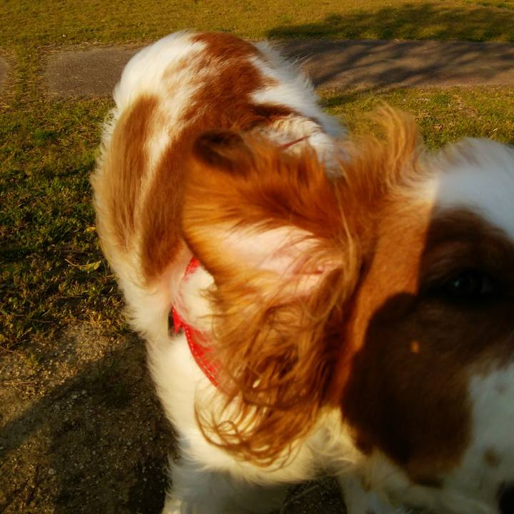 674b1096 d06b 4e58 9666 ca0560a66ef4 1554281650015