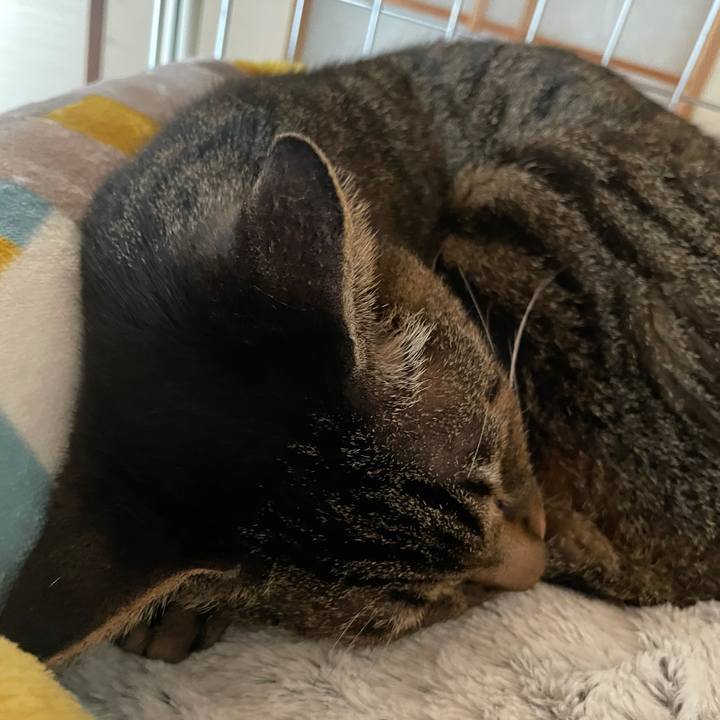 674b5fd2 3f7f 49db ad1c 71aa5a17384c 1613353336308