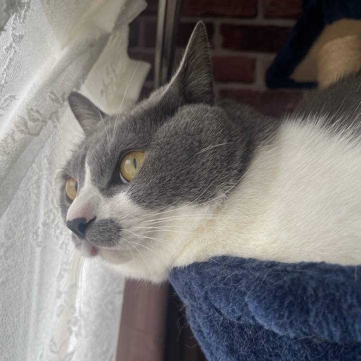 674b86b4 8432 41e9 9abe 36287549d844 1665281113506