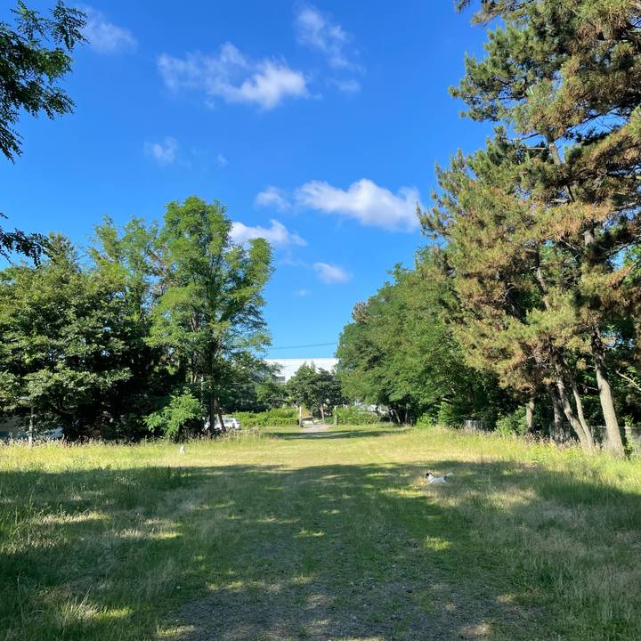 674bb5a3 be6f 45bc 96ca 15d3b5fcce00 1656632823790