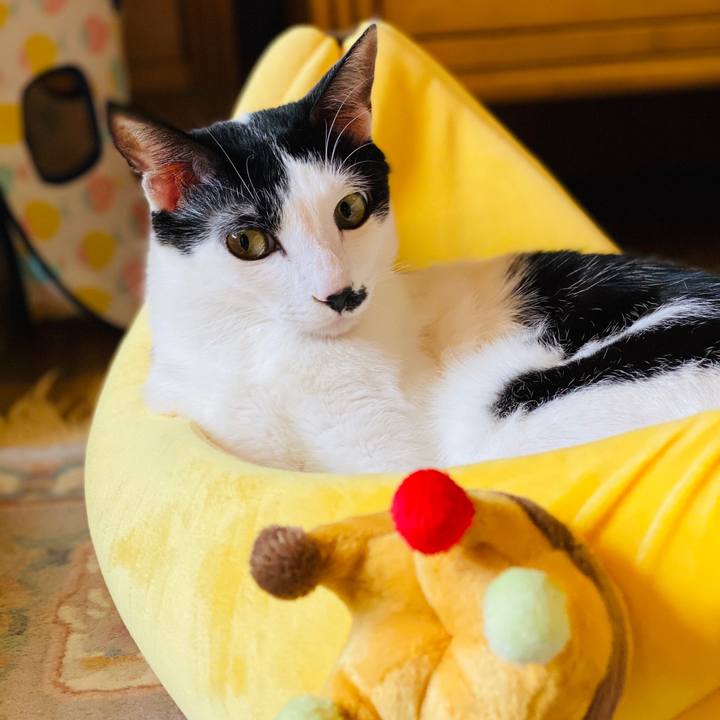 674bea74 dd04 4f73 a8ab 47e5dc20f762 1582340902294