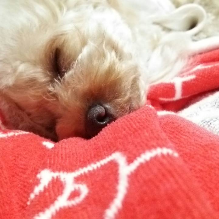 674bf3ad 7b73 4dbc 949a b5abf7f62d38 1538660182266