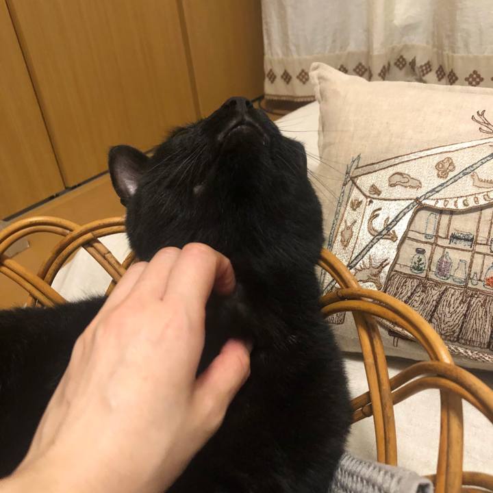 674bf743 02d4 4d44 be3f 3f9638218004 1594818396007