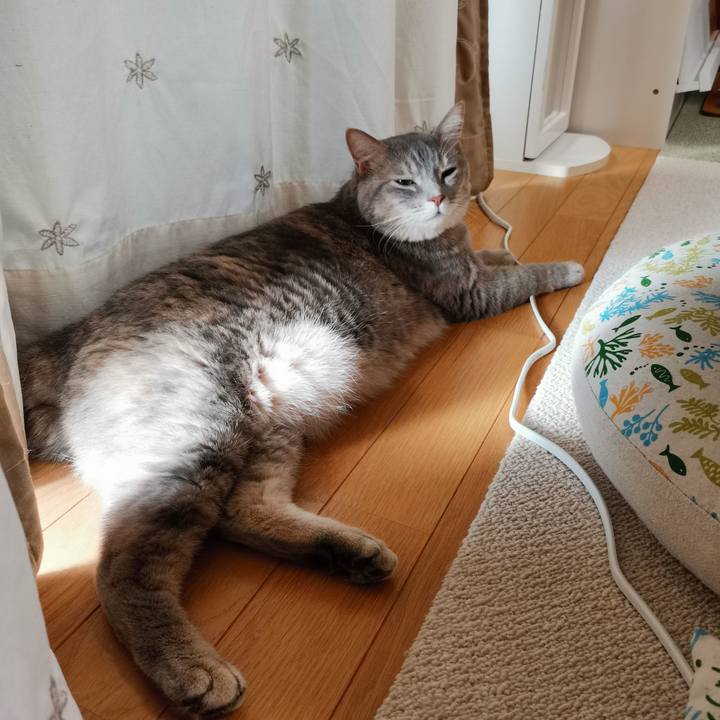 674c1022 6343 4636 a8d6 9df7e7b63996 1600426094681