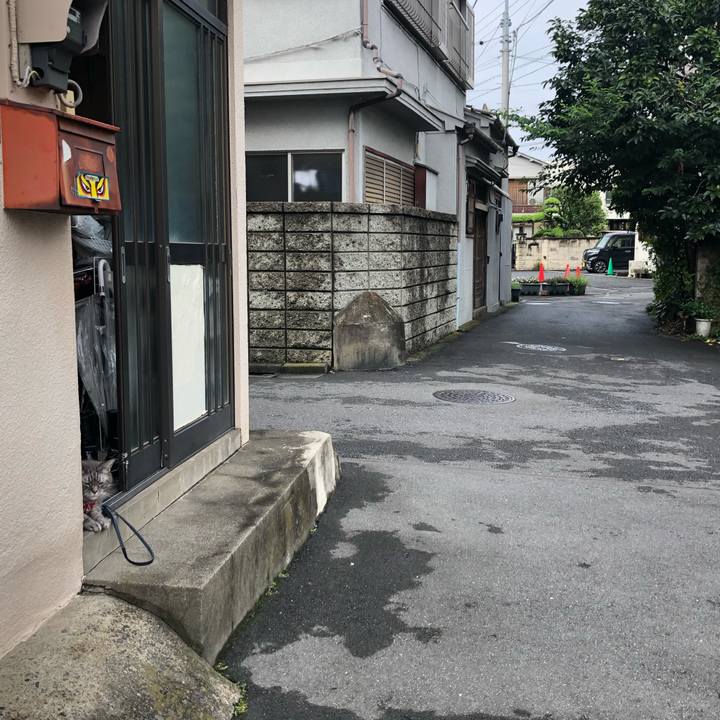 674c102a 2456 4fdc ab8d 06827bdbebf6 1569071459040