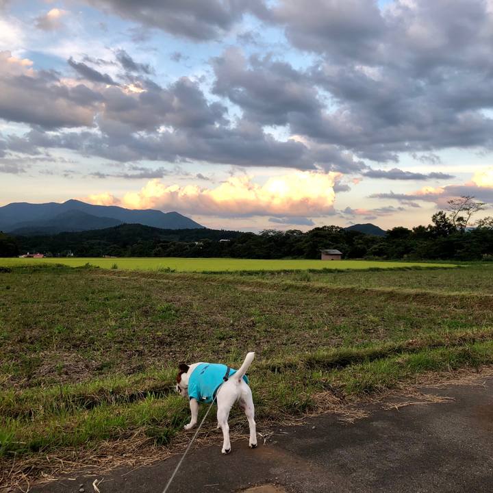 674c2172 fb43 43ea 9a15 418662e19ce1 1567766952738