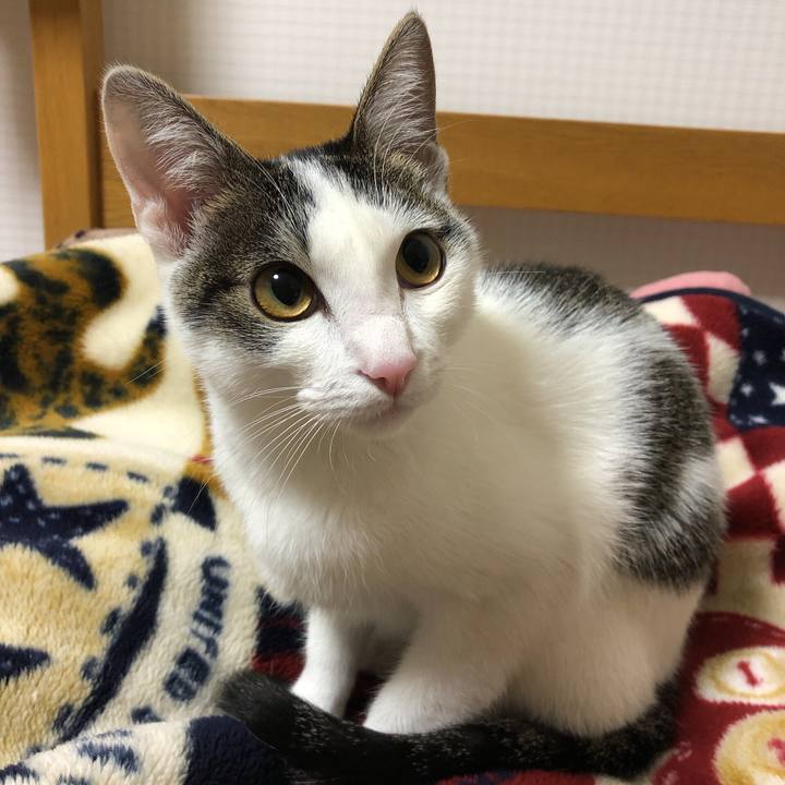 674c8a82 930c 408c 89ab 45468cf692a8 1577024518026