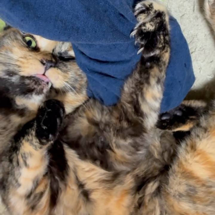 674cbba1 0454 498d a755 0d0acc96d632 1749503488922