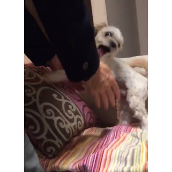 674cc151 9390 4f9b a672 06ec03dd897b 1519943471847