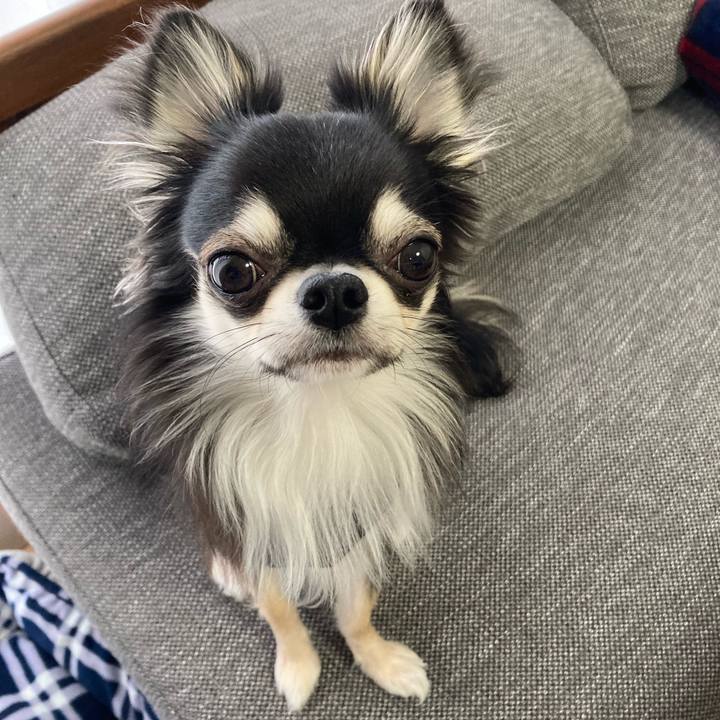 674ceadd e504 46b6 b8d3 8afa3c8acc75 1615073685952