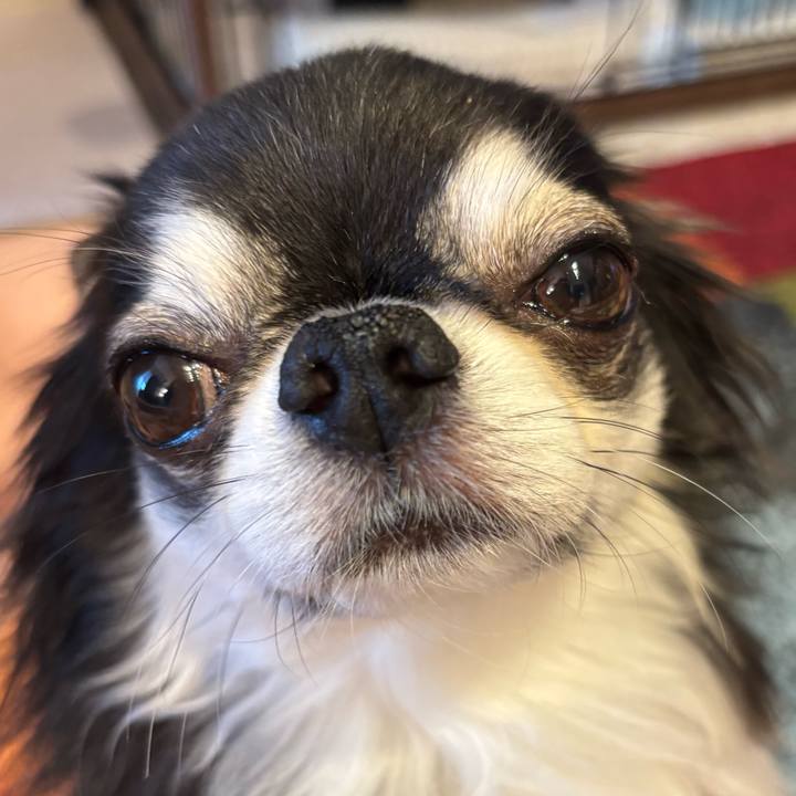 674d1a5c 6493 4daa aefe d36b92437d4d 1748104335924