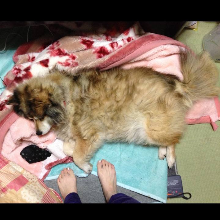 674d1b9a 2a07 4620 b6d0 143fbb0c6375 1632546323966