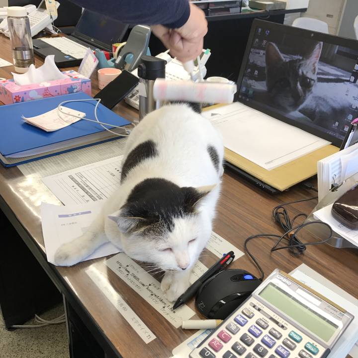 674d37df 8ffa 480f af49 b5a930d714d2 1517878502815