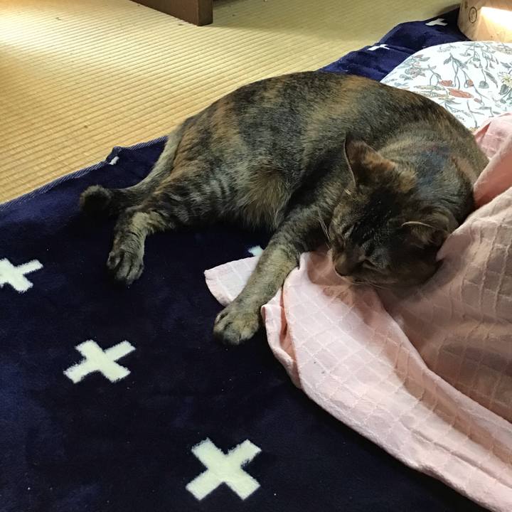 674d3d1c c937 4924 ab52 462e1c05fcc6 1704960987851