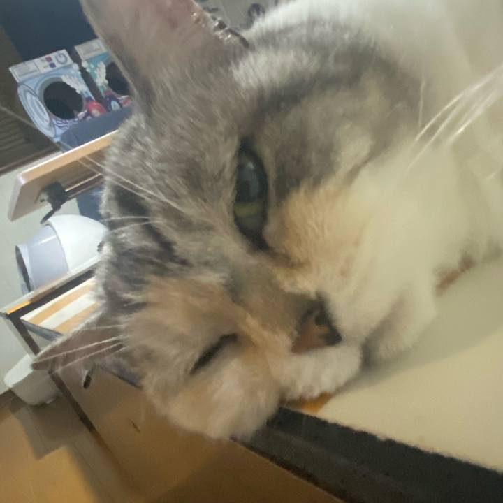 674d865d e9e3 47b0 8213 72e8e715a503 1717602409528