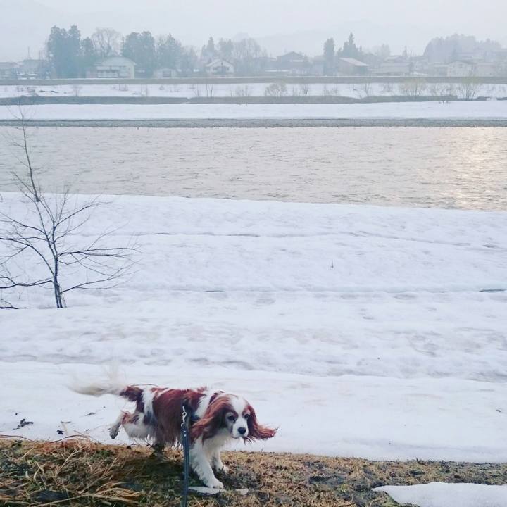 674da5ce 1823 4d27 af3c df5647b974cf 1522708315874