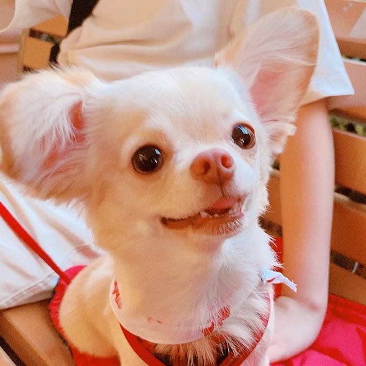 674da7ea 0451 4861 a8f6 a59d9933f603 1628664375716