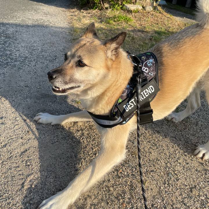 674da8d0 3284 4820 8aec f4cfa0962eee 1716295018605