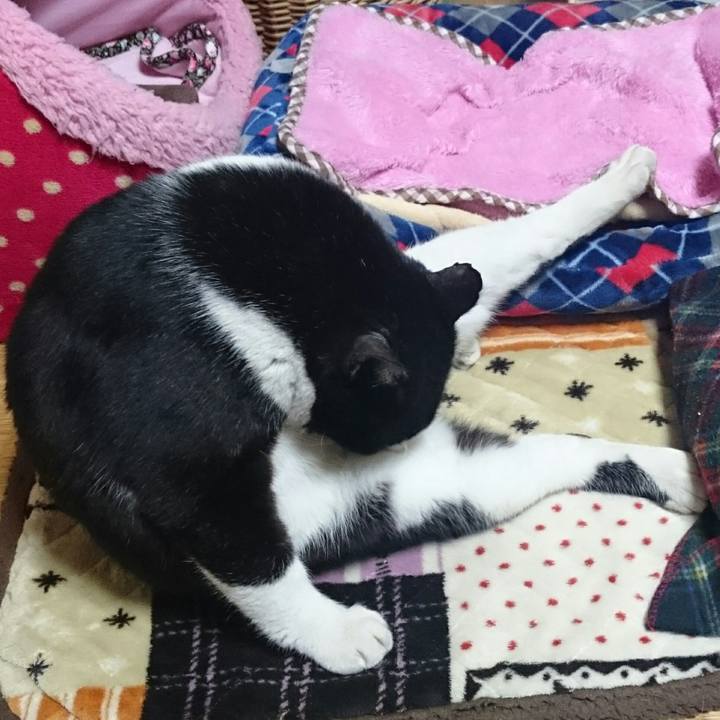 674dab39 f4a5 4738 9067 d0faf751d38d 1519482551240