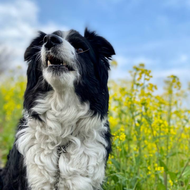 674daed1 6f95 4afa b56f 7d9a8e3652b3 1647128034579