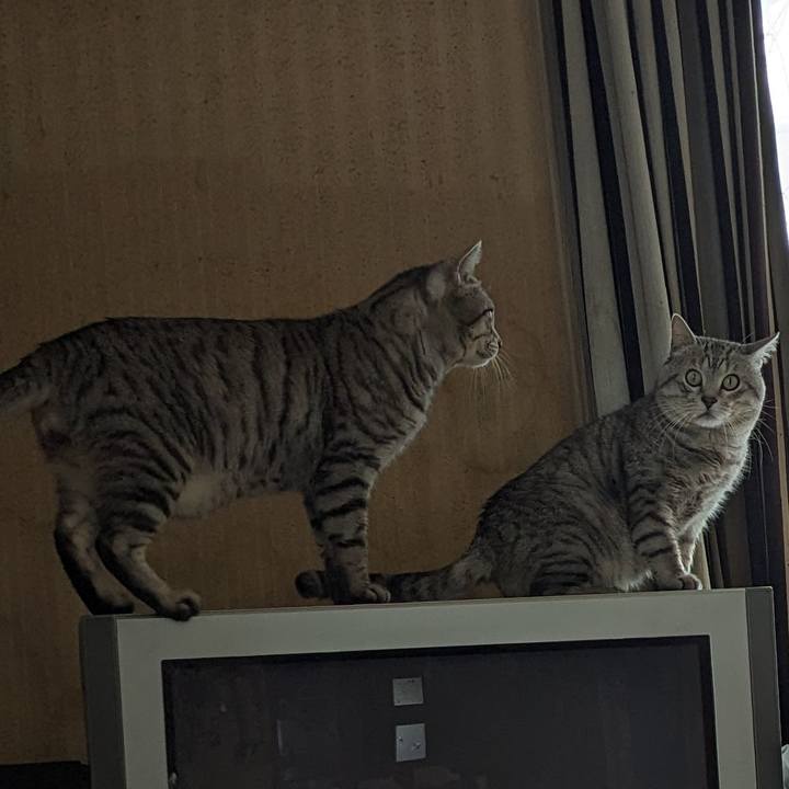 674db7b0 0f35 40f8 9139 d304e0d316cc 1705639799617