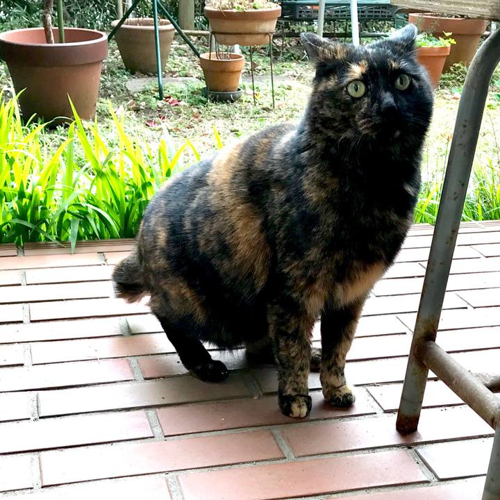 674e08ad 781f 4c42 919c 98dc3f84594b 1549502895452