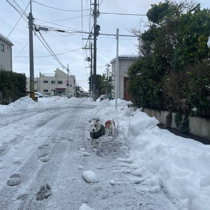 674e11db 8651 4d78 a090 22513f18142a 1703375669701