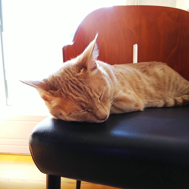 674e179e 585c 4874 834e 5a71bb3398da 1557036777950