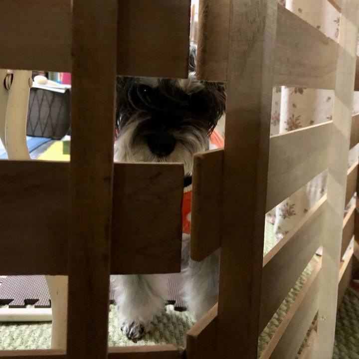 674e456e f646 4038 8551 6101a5e12dfb 1702388342488