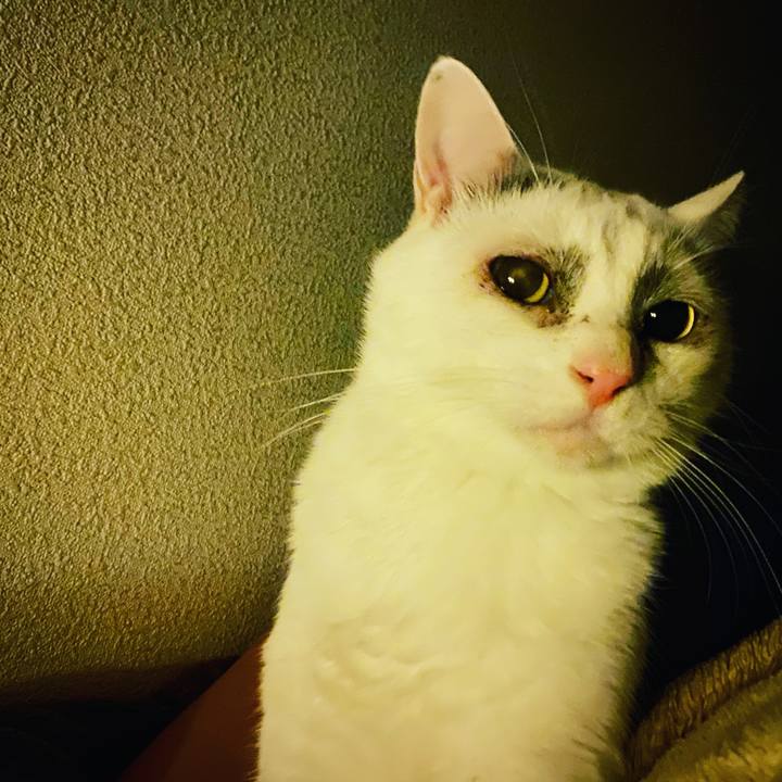 674eaa93 1dca 450a 9f99 6b677665e786 1576191626037