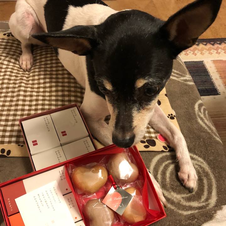 674ec2bc 3cdb 48c0 bfbc 942ff2cd1297 1516802581423