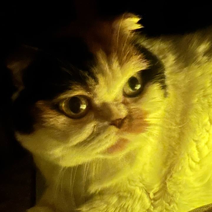 674eca6a 648e 4bc8 baa4 27d8919a74fc 1734359101972